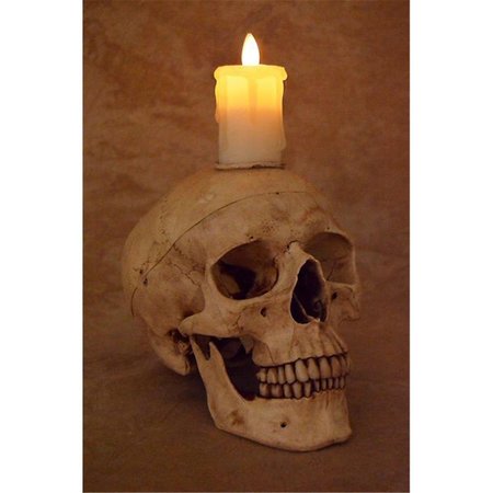 WONDERDESCONCIERTO Skull with Flameless Candle WO1870479